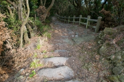 鶴御崎・九州最東端周辺