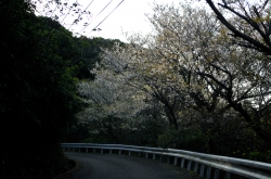 鶴御崎・九州最東端帰路