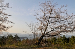 鶴御崎・九州最東端帰路