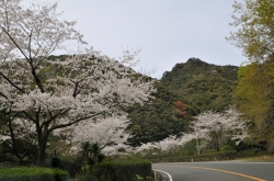 鶴御崎・道案内