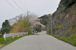 鶴御崎・女郎崎展望台