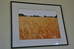 小麦の家『鈴』 - すず -・写真