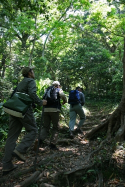 島野浦・遠見場山入り口