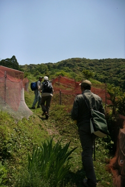 島野浦・遠見場山