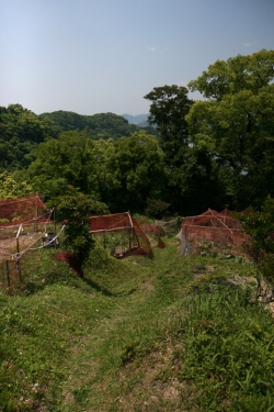 島野浦・遠見場山