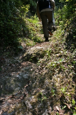 島野浦・遠見場山