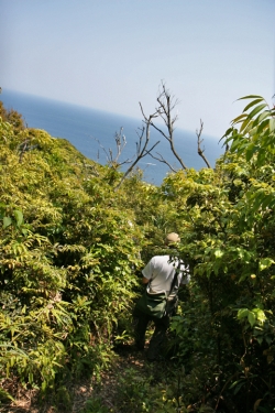 島野浦・風景