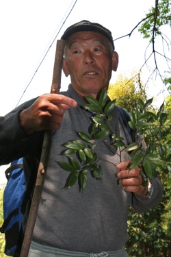 島野浦・岩田さん