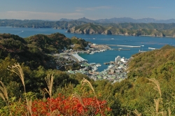 島野浦島・七番広角