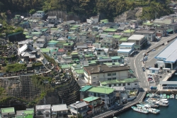 島野浦島・白浜地区