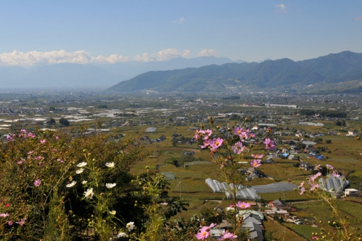 ぶどうとワインの町『勝沼』散策・ぶどうの丘