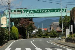 ぶどうとワインの町『勝沼』散策・移動～横浜から勝沼へ