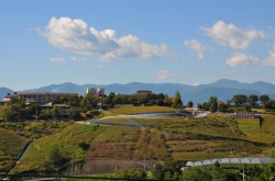 ぶどうとワインの町『勝沼』散策・ぶどう畑が広がる町の風景