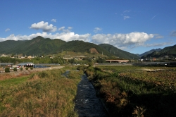 ぶどうとワインの町『勝沼』散策・ぶどう畑が広がる町の風景