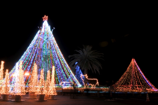 宮崎クリスマスイルミネーション特集・川南町トロントロンドーム