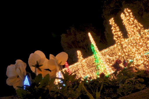 宮崎クリスマスイルミネーション特集・川南町トロントロンドーム