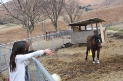 高千穂〜阿蘇「B級ご当地グルメ」食べ歩きドライブ・俵山交流館・萌の里