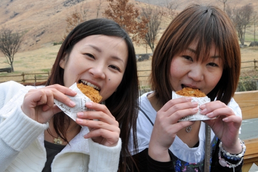 高千穂〜阿蘇「B級ご当地グルメ」食べ歩きドライブ・俵山交流館萌の里「馬かメンチカツ」