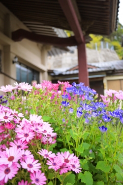 普門寺・イメージ