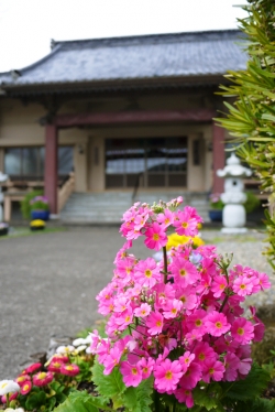 普門寺・イメージ