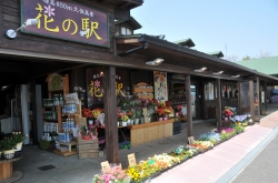 くじゅう花公園・花の駅