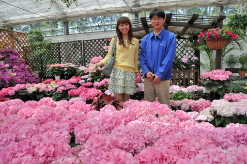 くじゅう花公園・天候に左右されない温室「アンティル」