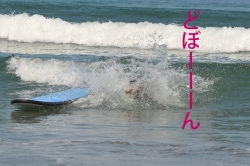 Dear Surf・1日サーフィン体験レッスン