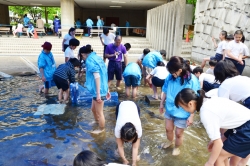 間門小学校・タッチングプール33