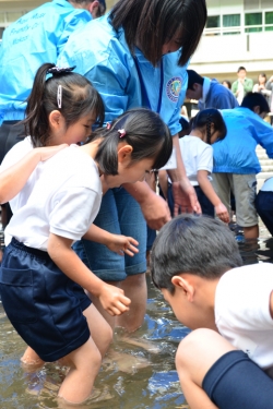 間門小学校・タッチングプール30