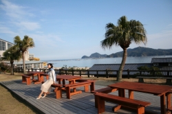 旅館さざれ石 高島・外観