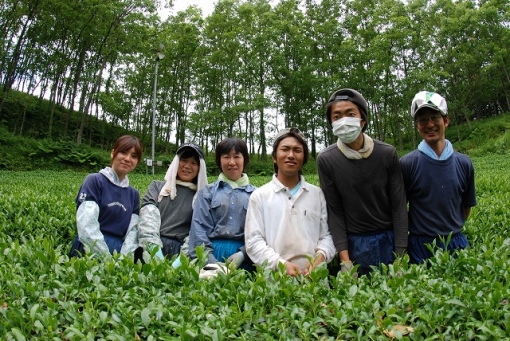 五ヶ瀬町の釜炒り茶『宮崎茶房』・スタッフ