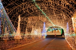 宮崎クリスマスイルミネーション特集・川南町トロントロンドーム