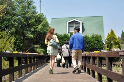 くじゅう花公園・イメージ