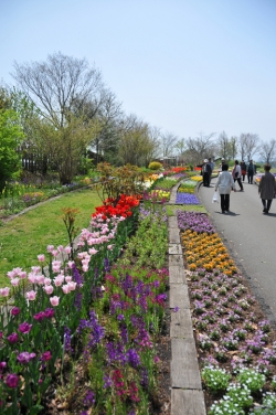 くじゅう花公園・イメージ