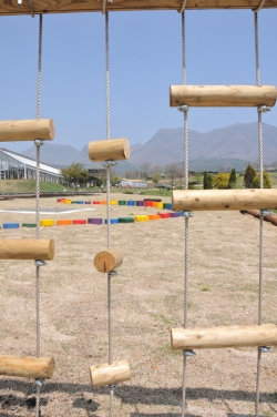 くじゅう花公園・わんぱく広場