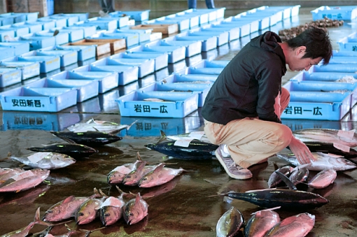 日向灘地魚料理　四季食彩くらや・地どれの天然食材