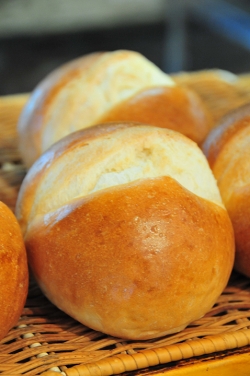 亀のパン・直焼きパン