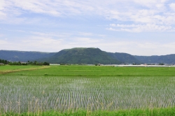 ヒバリカフェ／ひばり工房・道案内