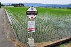 ヒバリカフェ／ひばり工房・バス停風看板