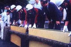 五ヶ瀬川の畳堤（畳堤を守る会）