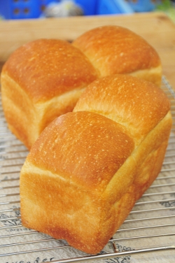 美郷ノ蔵・美郷の食パン