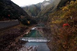 冬の西米良村「グルメ散策」！