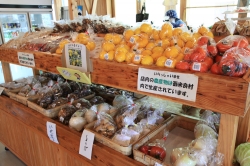 冬の西米良村「グルメ散策」〜 川の駅「百菜屋」