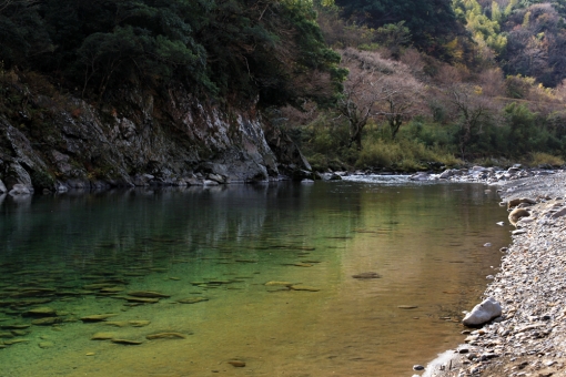 冬の西米良村「グルメ散策」〜 かりこぼうず大橋