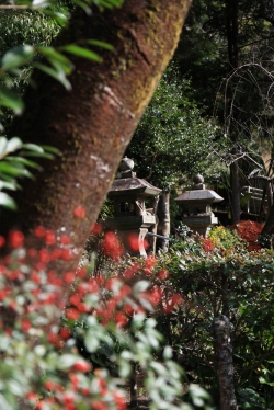 冬の西米良村「グルメ散策」〜 菊池記念館