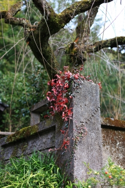 冬の西米良村「グルメ散策」〜 菊池記念館