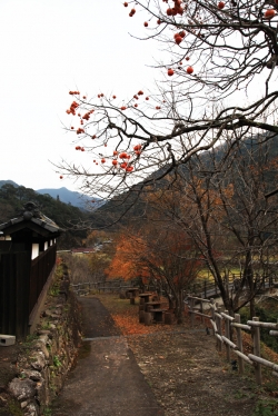 冬の西米良村「グルメ散策」〜 おがわ作小屋村