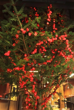 冬の西米良村「グルメ散策」〜 西米良温泉ゆた〜と「ほおずきクリスマスツリー」