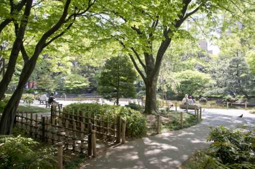 パワナビ　横浜　チューリップ