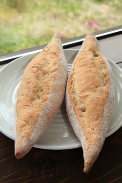 ぶらうにい・レーズン酵母のフランスパン